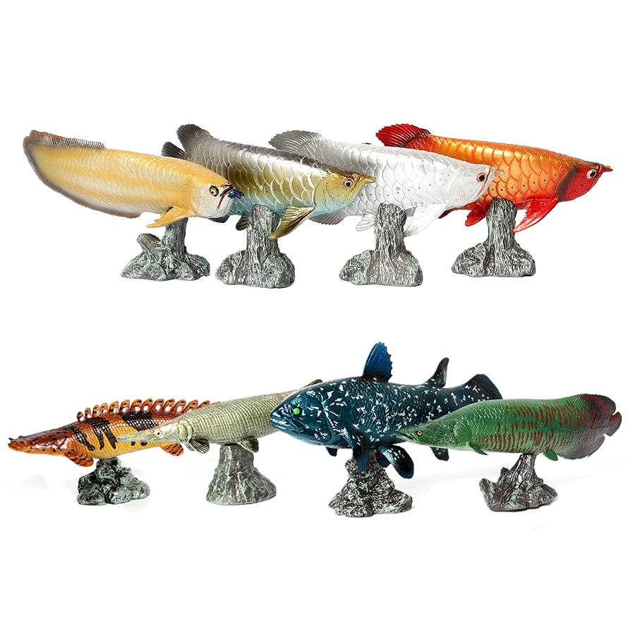 Kids Toys Reviews - Modelo de Peixe Arowana Pirarucu Coelacanto