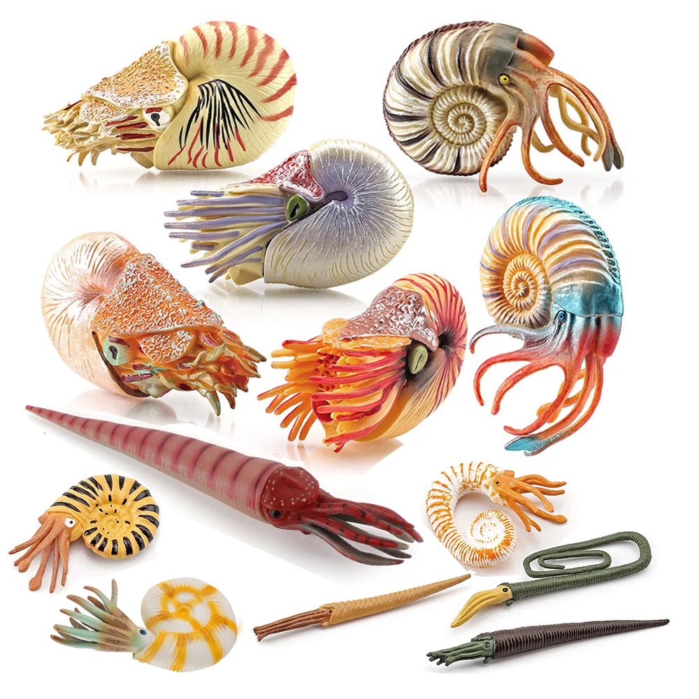 Kids Toys Reviews - Brinquedos de Animais Marinhos: Figuras de