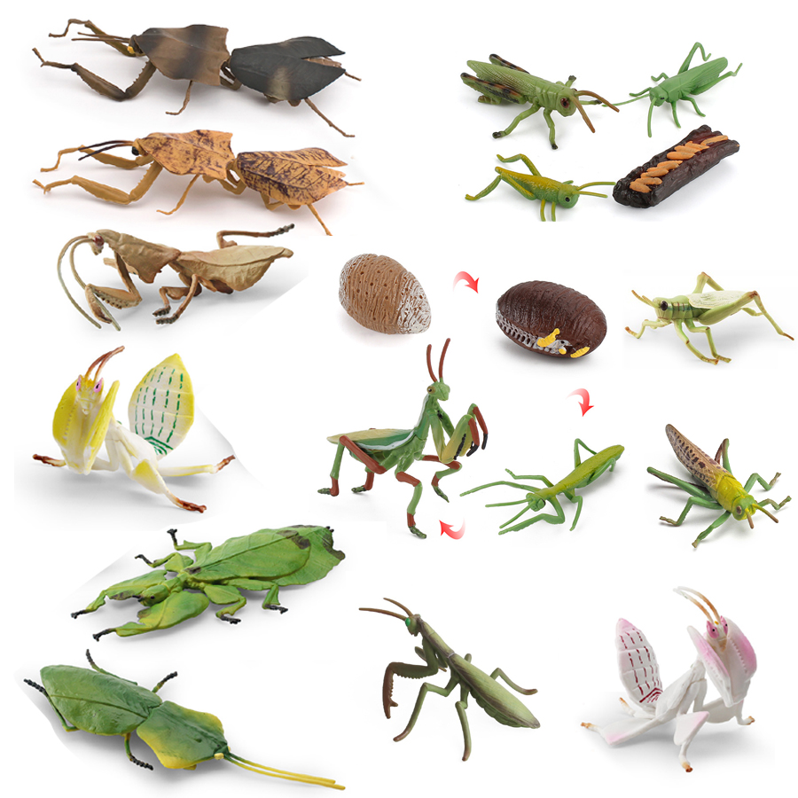Kids Toys Home - Modelo Realista de Mantis Orquídea, Mantis