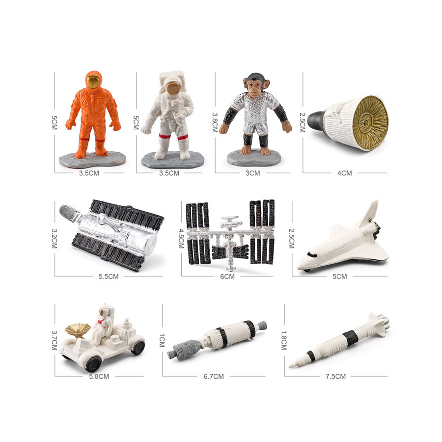 Órgãos Humanos Realistas do An - Kids Toys Egypt avaliação e preço
