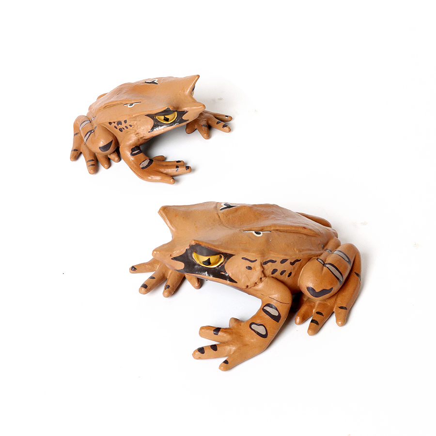 Floresta pluviana animais sapo - Kids Toys Reviews avaliação e preço