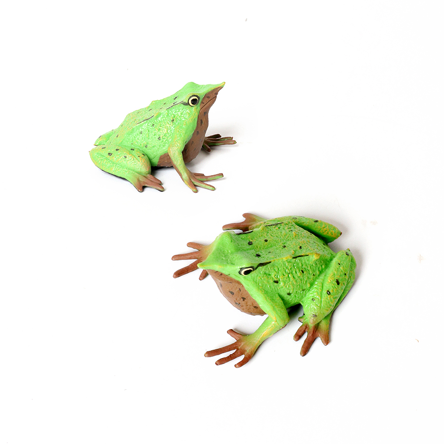 Floresta pluviana animais sapo - Kids Toys Reviews avaliação e preço