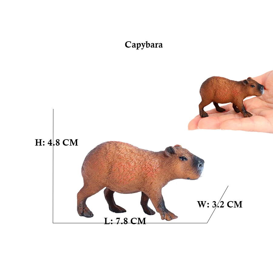 Capibara capivaras esquilo mar - Kids Toys Reviews avaliação e preço