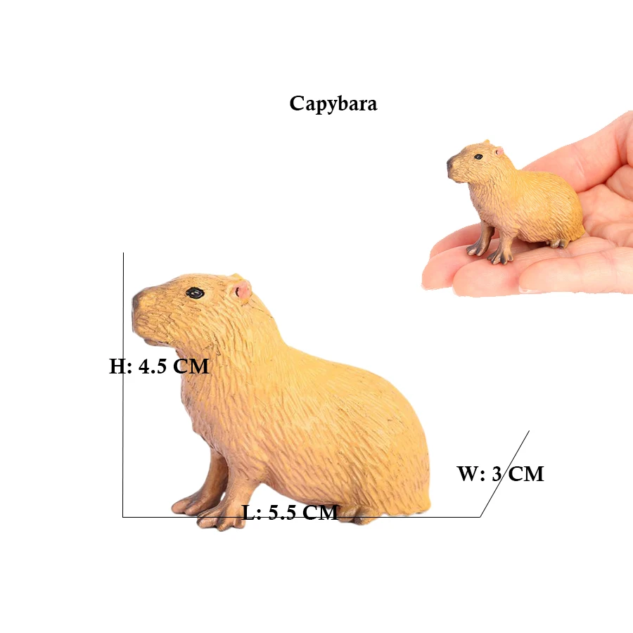 Capibara capivaras esquilo mar - Kids Toys Reviews avaliação e preço
