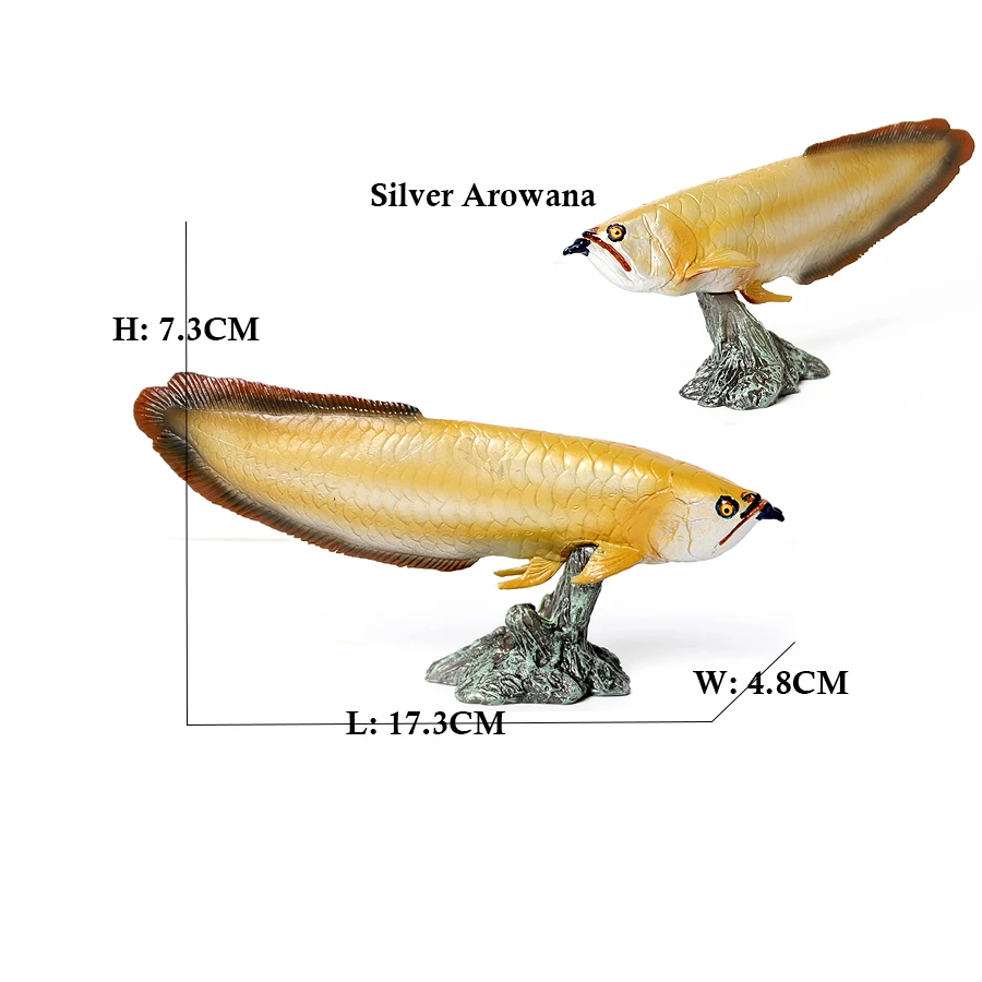 Modelo de Peixe Arowana Piraru - Kids Toys Reviews avaliação e preço