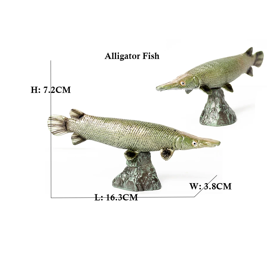 Modelo de Peixe Arowana Piraru - Kids Toys Reviews avaliação e preço