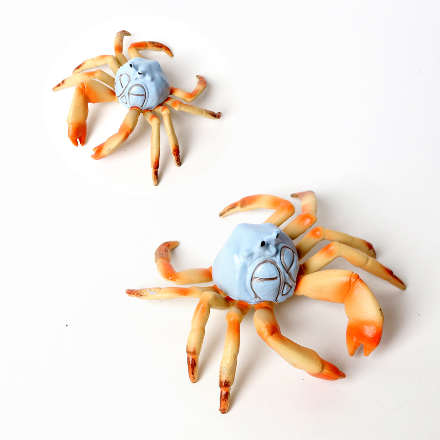 Animais do oceano realistas, c - Kids Toys Home avaliação e preço