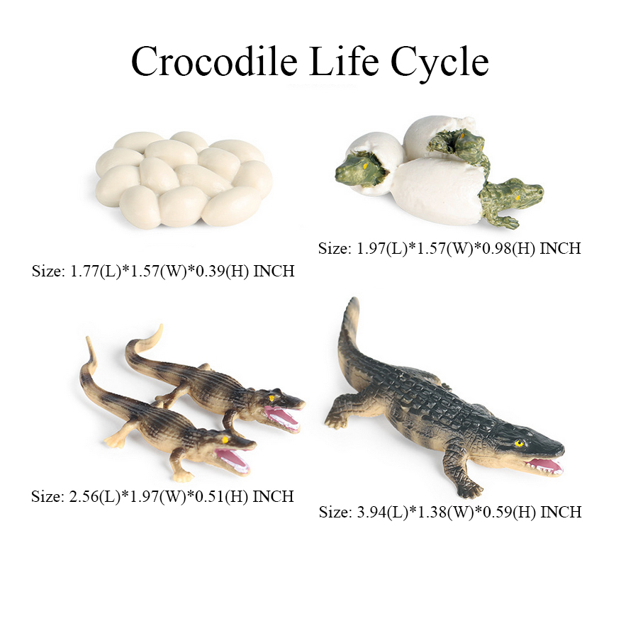 Brinquedo de crocodilo figura  - Kids Toys Reviews avaliação e preço
