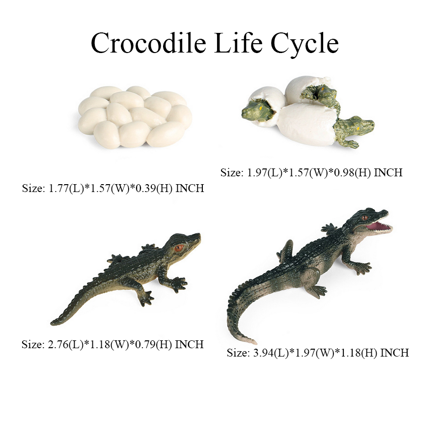 Brinquedo de crocodilo figura  - Kids Toys Reviews avaliação e preço