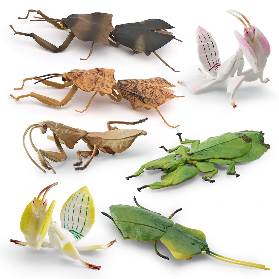 Modelo Realista de Mantis Orqu - Kids Toys Home avaliação e preço