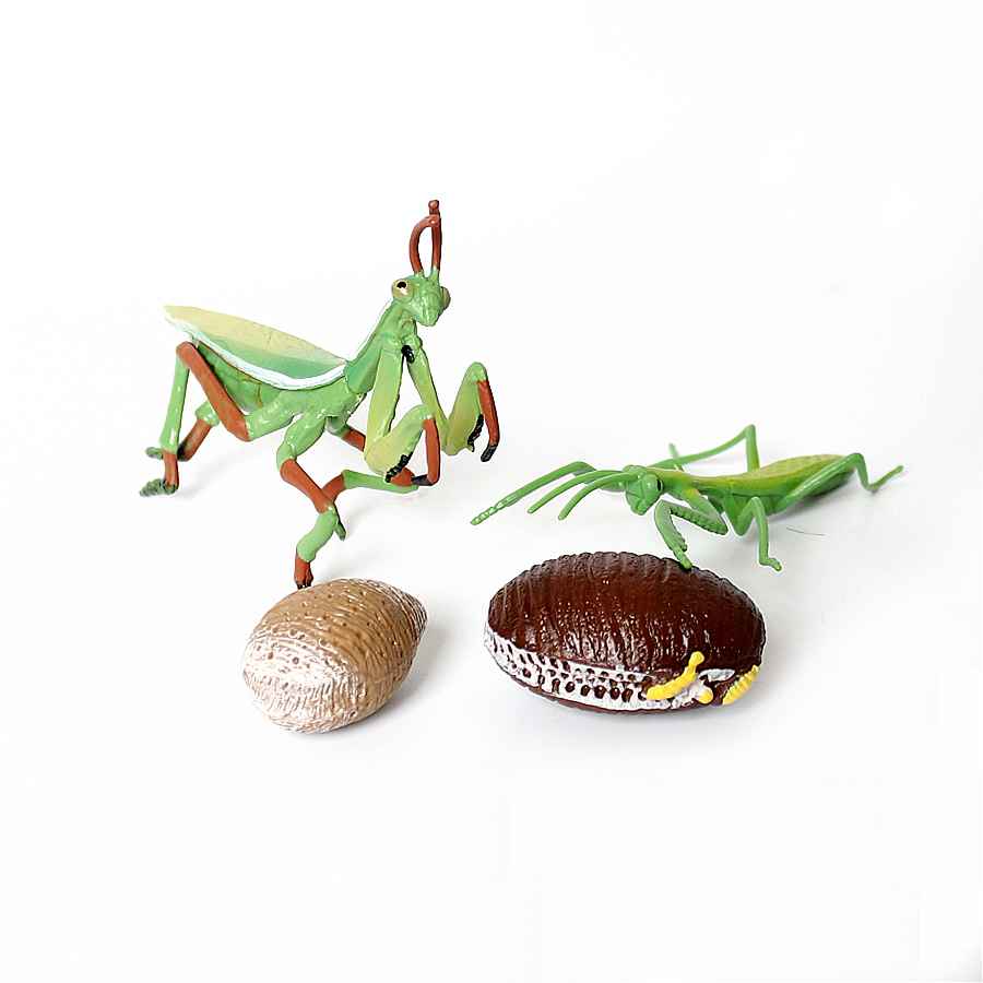 Modelo Realista de Mantis Orqu - Kids Toys Home avaliação e preço